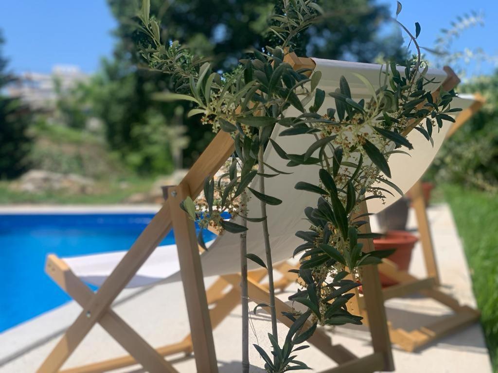 Appartement P&a Budva