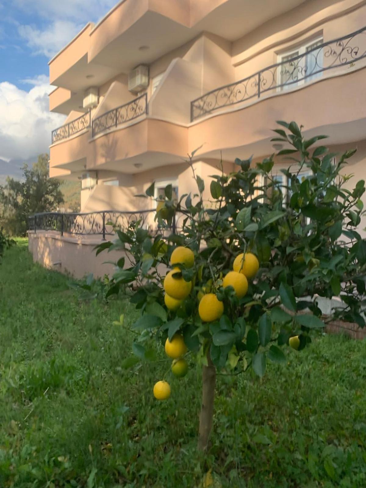 P&a Appartement
