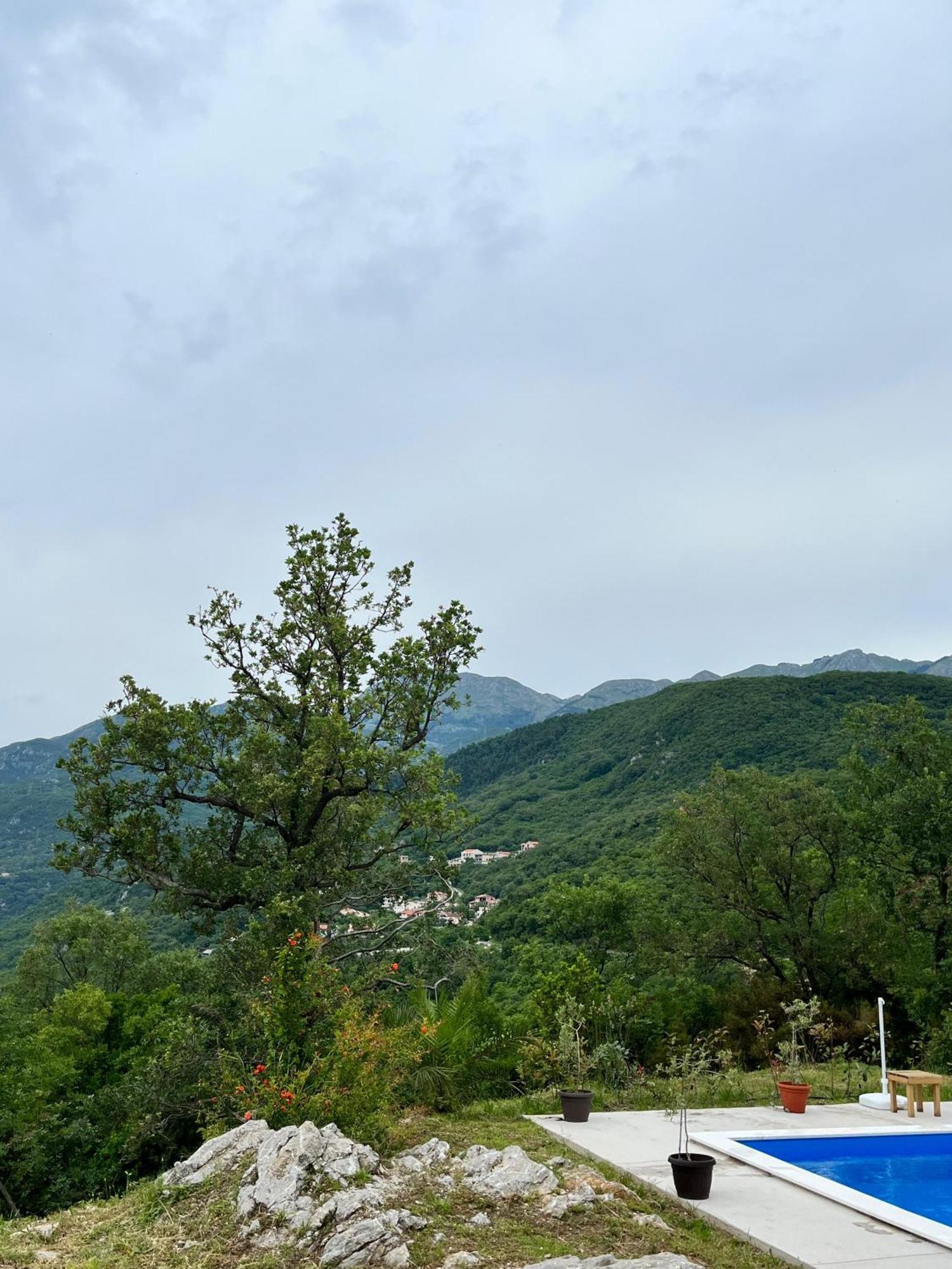 P&a Appartement Budva